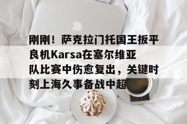 hth体育网址-刚刚！萨克拉门托国王扳平良机Karsa在塞尔维亚队比赛中伤愈复出，关键时刻上海久事备战中超的简单介绍